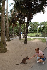 0778 Wildlife Habitat Port Douglas